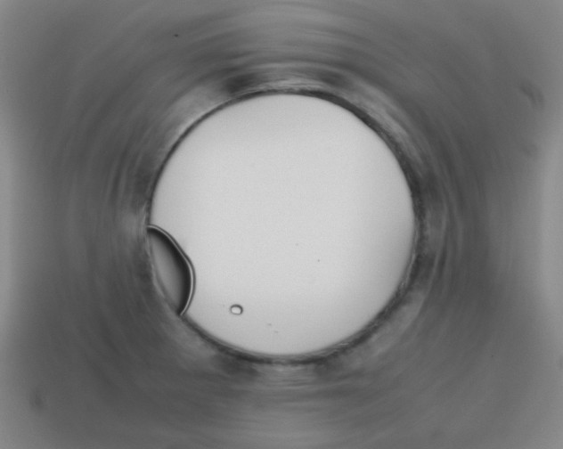 X0000113871281200910221327