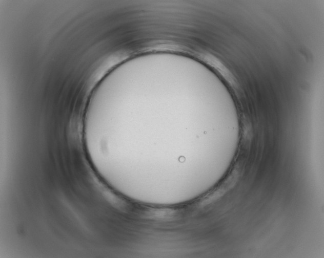 X0000113871282200910221327