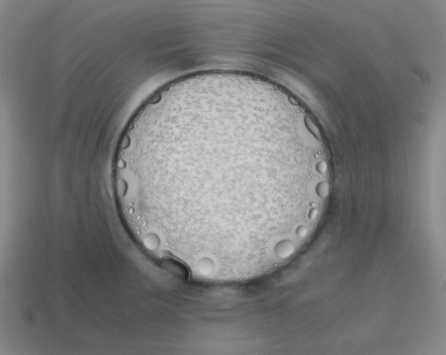 X0000113871283200910221327