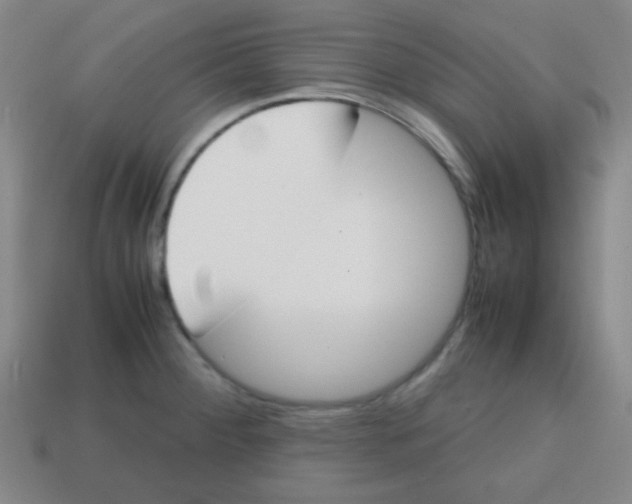 X0000113871284200910221327