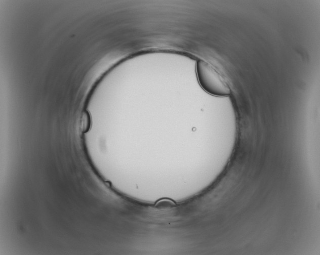 X0000113871285200910221327