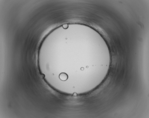 X0000113871286200910221327