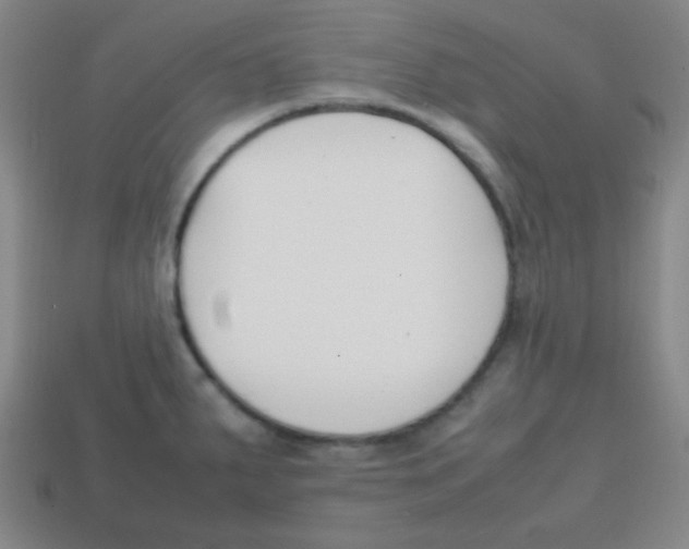 X0000113871287200910221327