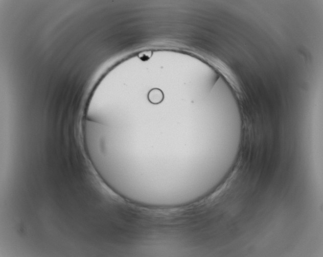 X0000113871288200910221327