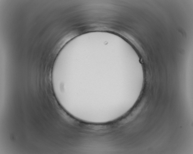 X0000113871289200910221327