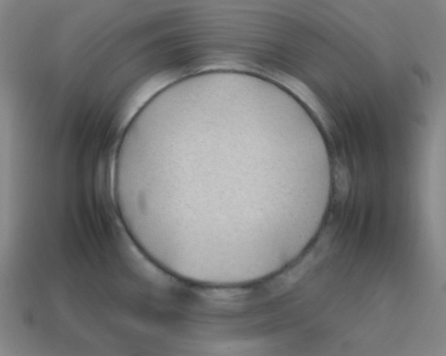 X0000113871290200910221327