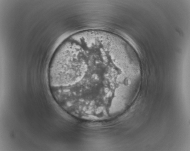 X0000113871291200910221327