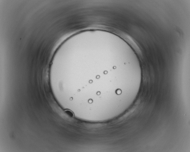 X0000113871292200910221327