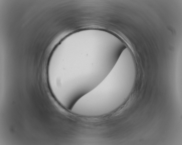 X0000113871293200910221327