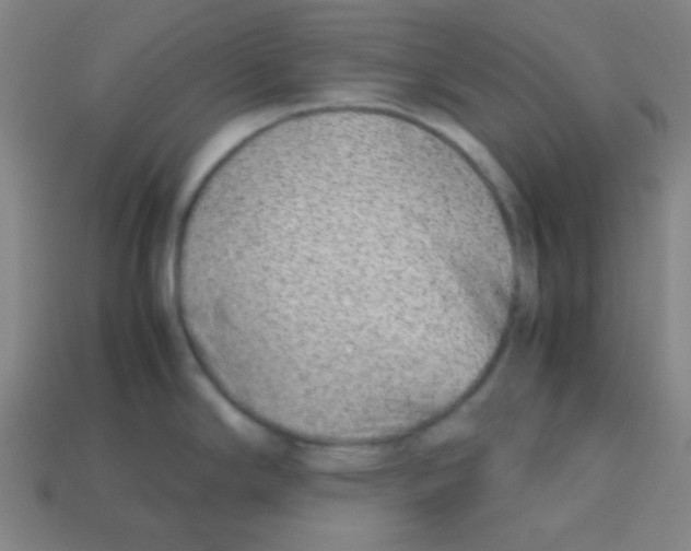 X0000113871294200910221327