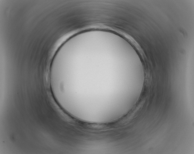 X0000113871295200910221327