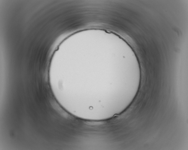 X0000113871296200910221327