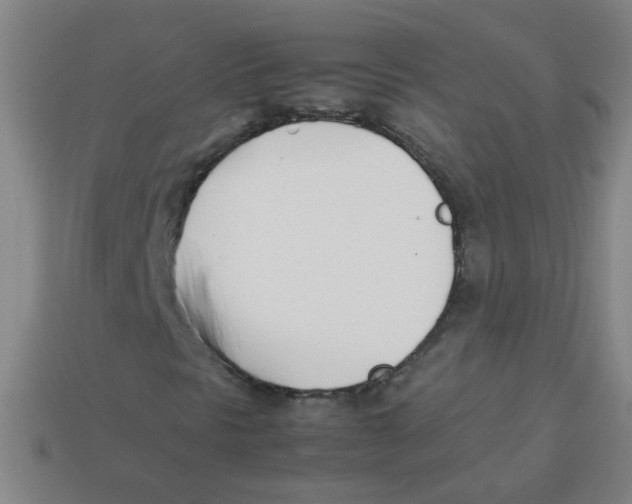 X0000113871297200910221326