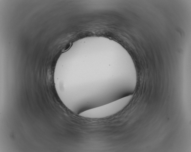 X0000113871298200910221326