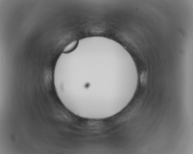 X0000113871299200910221326