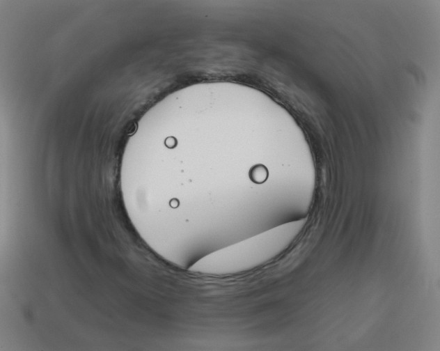 X0000113871300200910221326