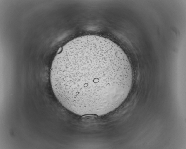 X0000113871301200910221326