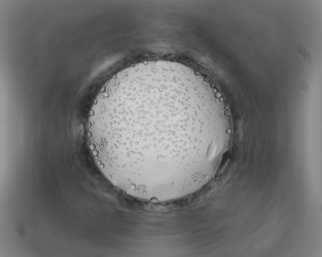 X0000113871302200910221326