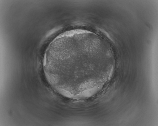 X0000113871303200910221326