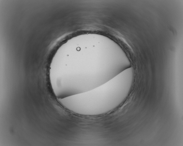 X0000113871304200910221326