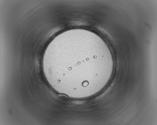 X0000113871305200910221326