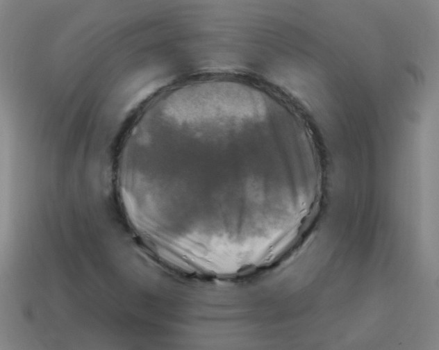 X0000113871306200910221326