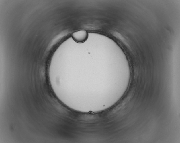 X0000113871307200910221326