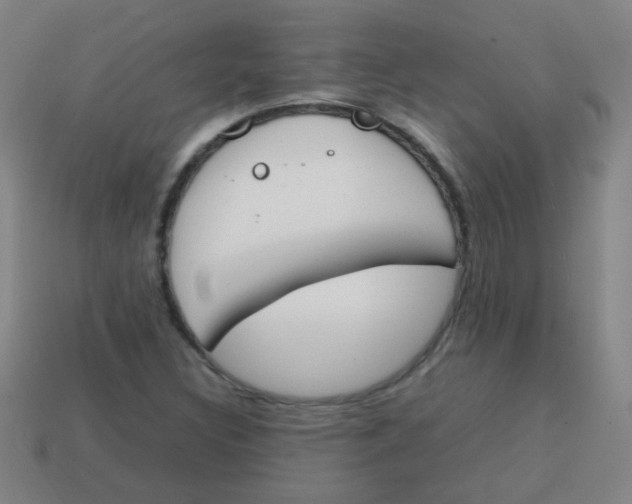 X0000113871308200910221326