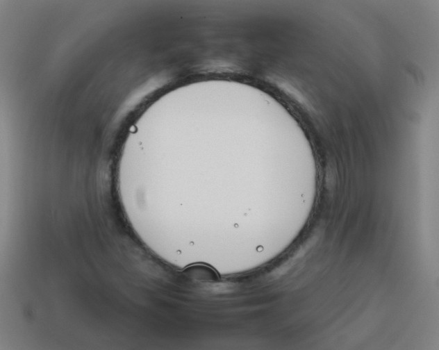 X0000113871309200910221326