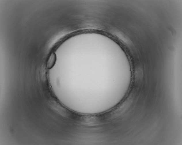 X0000113871310200910221326