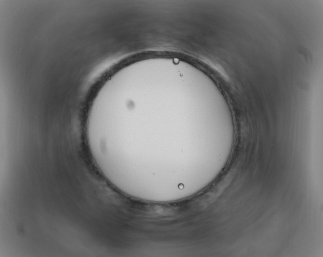 X0000113871311200910221326