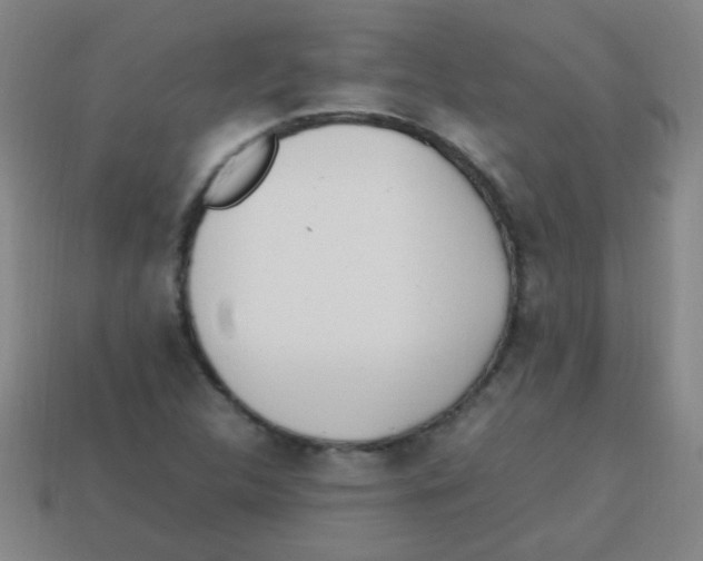 X0000113871312200910221326