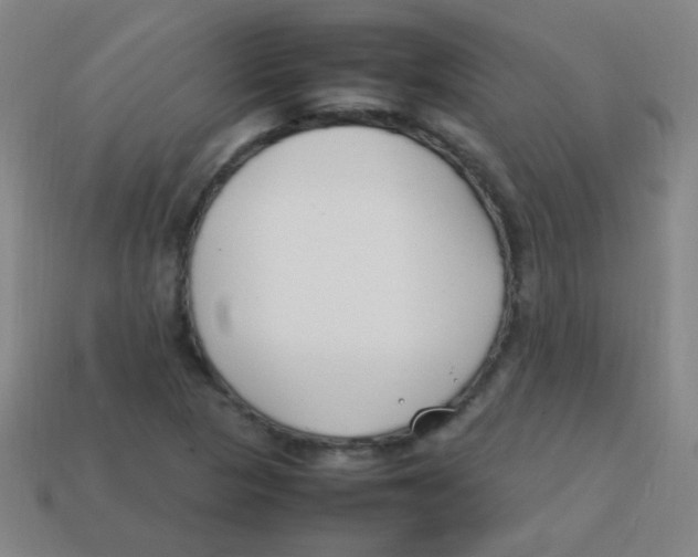 X0000113871313200910221326