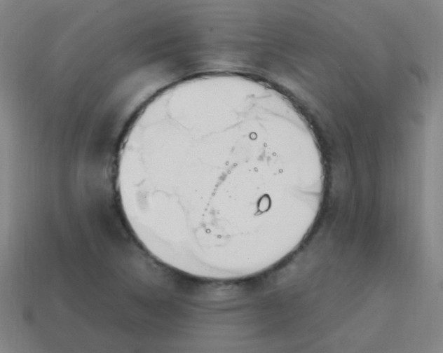 X0000113871314200910221326