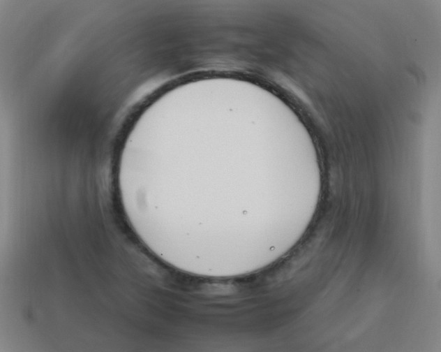 X0000113871315200910221326