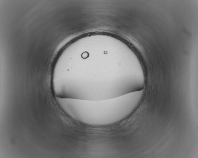 X0000113871316200910221326