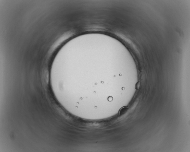 X0000113871317200910221326