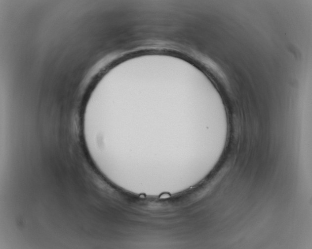 X0000113871318200910221326