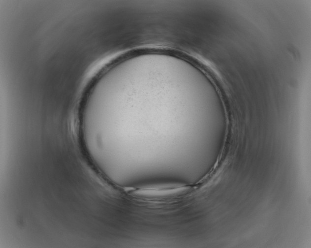 X0000113871319200910221326