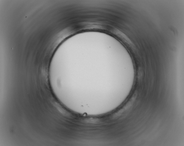 X0000113871321200910221326