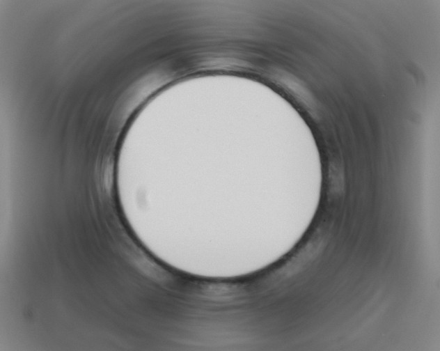 X0000113871322200910221326