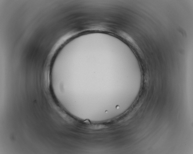 X0000113871323200910221326