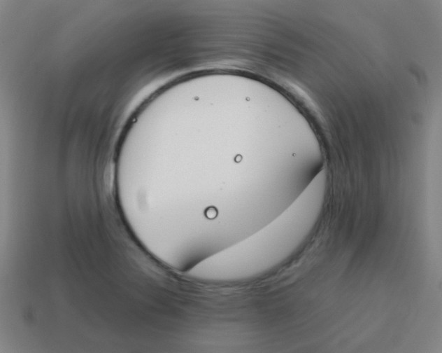 X0000113871324200910221326