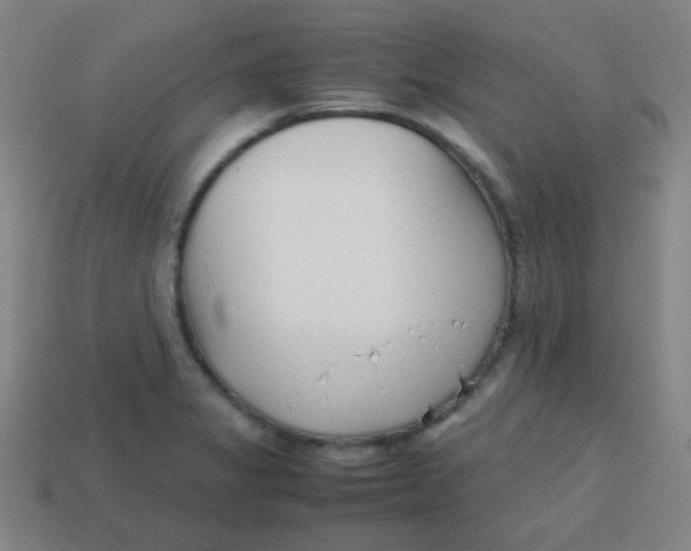 X0000113871325200910221326