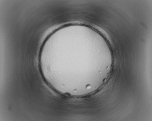 X0000113871327200910221326