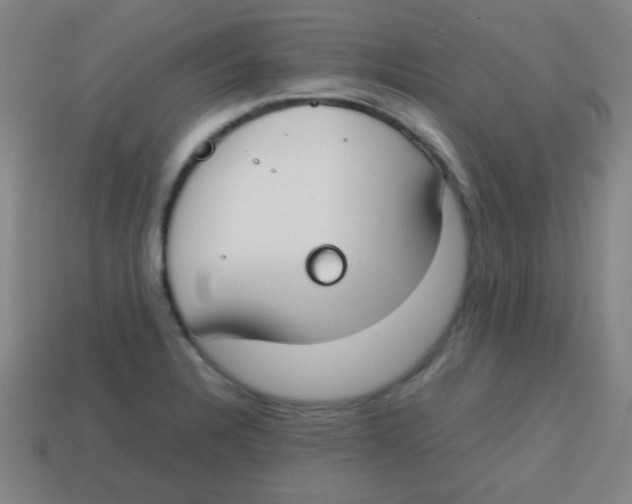 X0000113871328200910221326