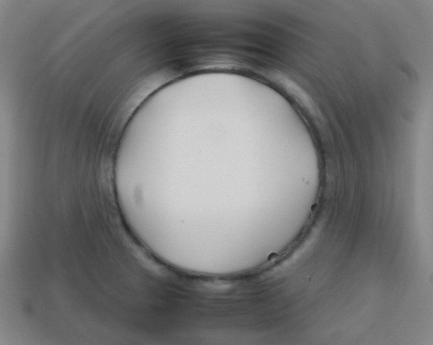 X0000113871329200910221326