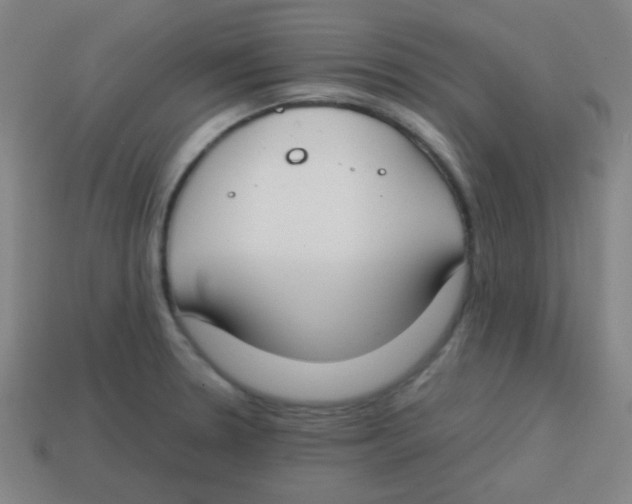 X0000113871330200910221326