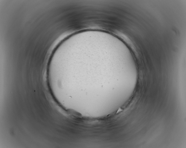 X0000113871331200910221326