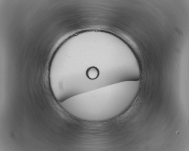 X0000113871332200910221326